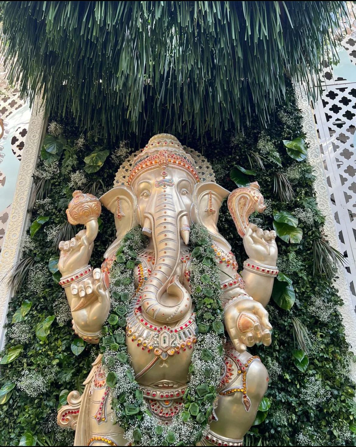 anmol ambani reception